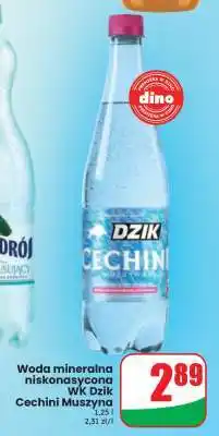 Dino Woda mineralna niskonasycona WK Dzik Cechini Muszyna oferta
