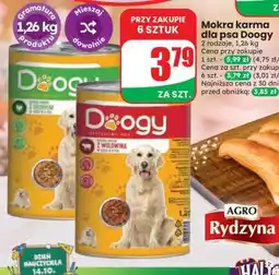 Dino Mokra karma dla psa Doogy oferta