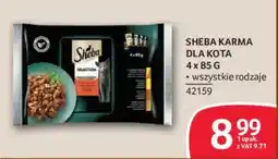 Selgros Sheba Karma Dla Kota oferta