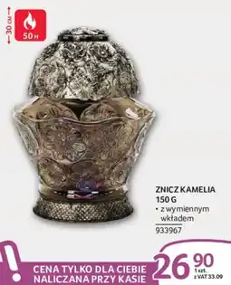 Selgros Znicz Kamelia oferta
