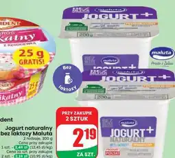 Dino Jogurt naturalny bez laktozy Maluta oferta