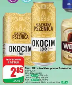 Dino Piwo Okocim Klasyczna Pszenica oferta