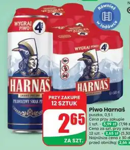 Dino Piwo HARNAŚ oferta
