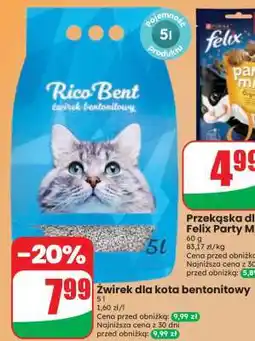Dino Zwirek dla kota bentonitowy oferta