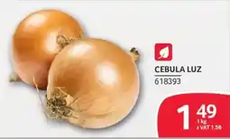 Selgros Cebula Luz oferta