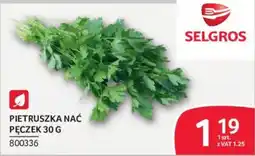 Selgros Pietruszka Nać Pęczek oferta