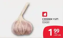 Selgros Czosnek oferta