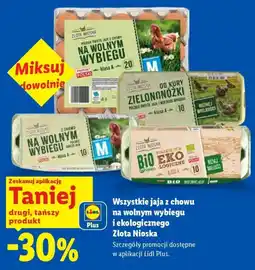 Lidl Jaja Złota Nioska oferta
