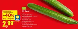 Lidl BIO Ogórki oferta