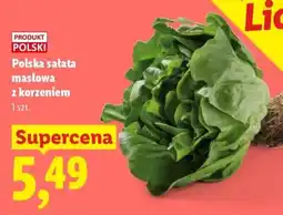 Lidl Polska sałatka masłowa z korzeniem oferta