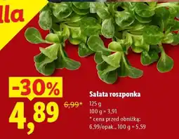 Lidl Sałata roszonka oferta