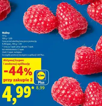Lidl Maliny oferta