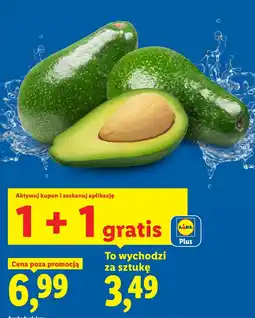 Lidl Awokado zielone oferta