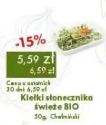 Kiełki słonecznika świeże BIO