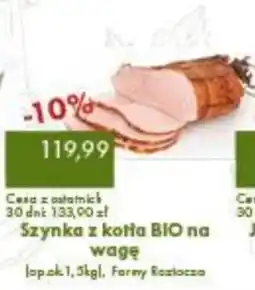 Organic Farma Zdrowia Szyinka z kołta BIO oferta