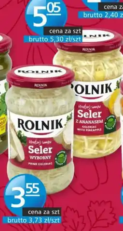 Specjał Seler Wyborny oferta
