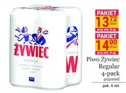 Specjał Piwo Żywiec Regular oferta