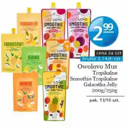 Specjał Owolovo Mus Tropikalne Smoothie oferta