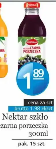 Specjał Nektar Fortuna Czarna Porzeczka oferta