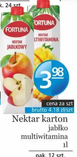 Specjał Nektar karton jabłko multiwitamina oferta