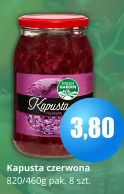 Specjał Kapusta czerwona oferta