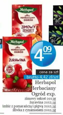 Specjał Herbapol Herbaciany Ogród exp. zimowy sekret żurawina imbir z pomarańczą i pigwą sliwka z cynamonem oferta