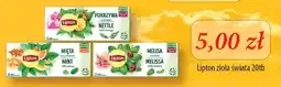 Specjał Lipton zioła świata oferta