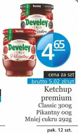 Specjał Ketchup Develey Premium Pikantny oferta