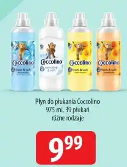 Specjał Płyn do płukania Coccolino oferta