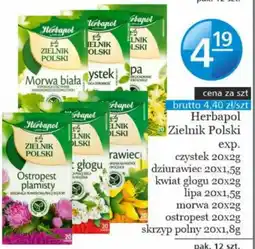Specjał Herbapol Zielnik Polski oferta