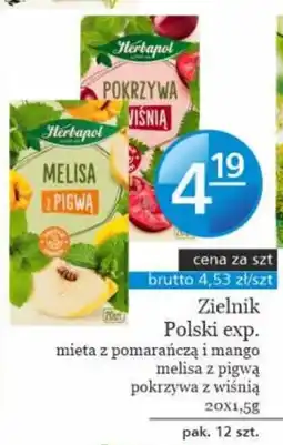 Specjał Zielnik Polski exp. melisa z pigwą oferta