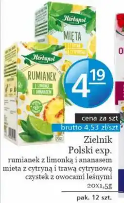 Specjał Zielnik Polski exp. oferta