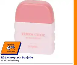 Action Róż Bonjolie oferta