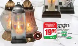 Dino Znicz oferta
