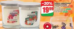 Dino Świeca zapachowa Yankee Candle oferta