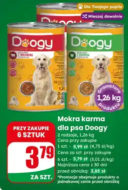 Dino Mokra karma dla psa Doogy oferta