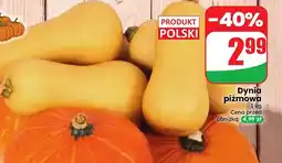 Dino Dynia Polski oferta