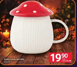 Selgros Kubek oferta