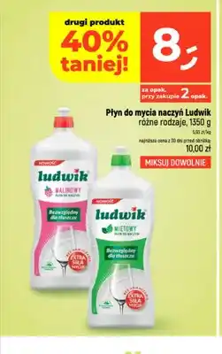 Dealz Płyn do mycia naczyń Ludwik malinowy oferta