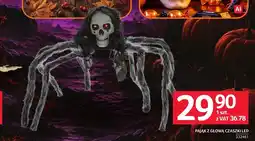 Selgros Pająk oferta