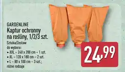 ALDI Kaptur ochronny na rośliny L 80x100 cm 3-pak Gardenline oferta