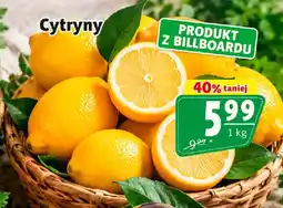 Prim Market Cytryny oferta