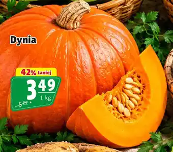 Prim Market Dynia oferta