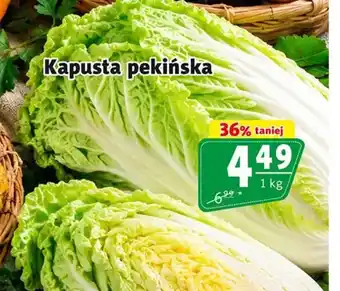 Prim Market Kapusta pekińska oferta