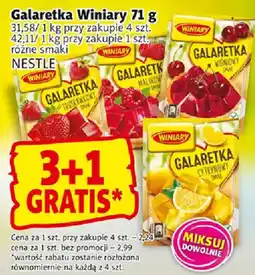 Prim Market Galaretki Winiary oferta