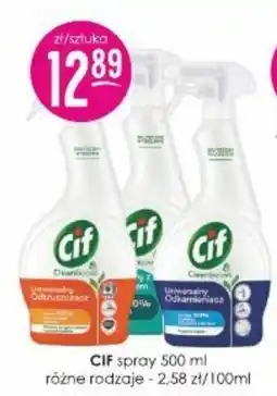 Jaśmin CIF spray oferta