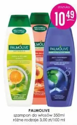 Jaśmin Palmolive szampon do włosów oferta