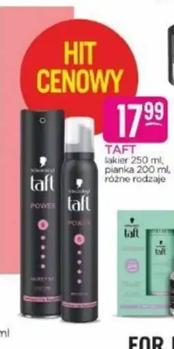 Jaśmin Taft lakier i pianka oferta