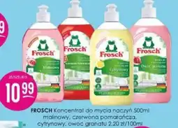 Jaśmin Frosch Koncentrat do mycia naczyń oferta