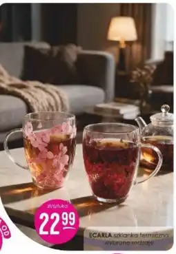 Jaśmin ECARLA szklanka termiczna oferta